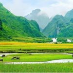 Color Photos – A Journey to Discover the Brilliant Colors of Life